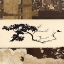 Picture of BONSAI