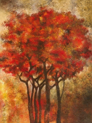 Picture of ARBRES ROUGES