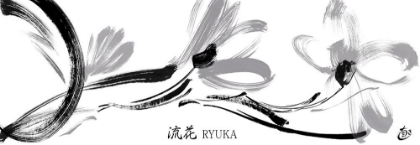 Picture of RYUKA IV