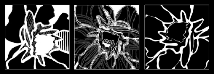 Picture of WEB FLOWER