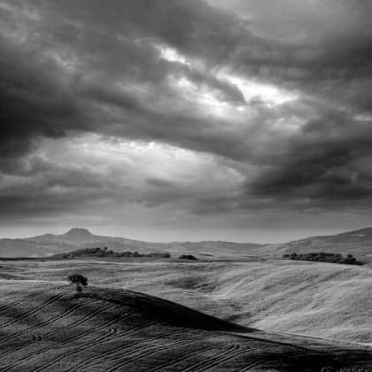 Picture of PIENZA