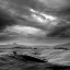 Picture of PIENZA