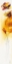Picture of FLEURS D AUTOMNE I