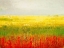 Picture of A FIELD OF MARIGOLDS