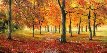 Picture of HERBSTIMPRESSION