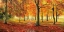 Picture of HERBSTIMPRESSION