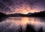 Picture of NATURE ART COLOR VIII