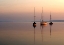 Picture of NATURE ART COLOR X