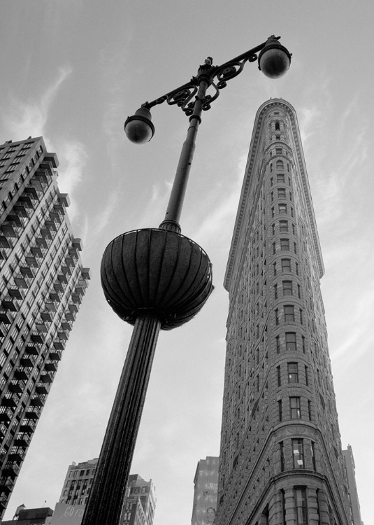 Picture of NEW YORK FLATIRON I