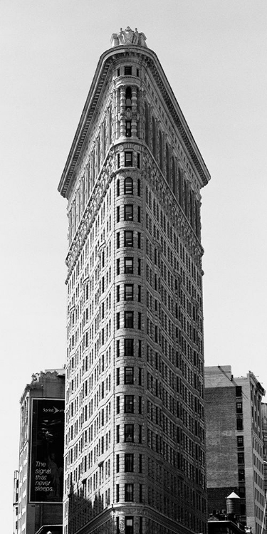 Picture of NEW YORK FLATIRON III