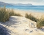 Picture of AFTERNOON DUNES