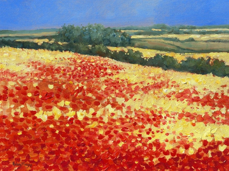 Picture of HARVEST POPPIES