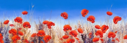 Picture of POPPY LANDSCAPE