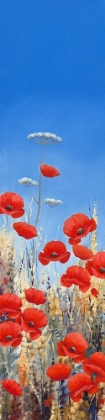 Picture of SUMMER POPPIES I