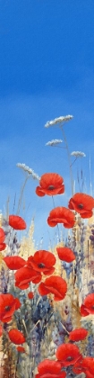 Picture of SUMMER POPPIES II