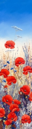 Picture of POPPY FIELD I