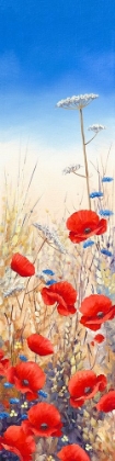 Picture of POPPY FIELD III