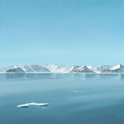 Picture of ARCTIC SILENCE