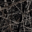 Picture of BW1330211