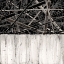 Picture of BW3040910