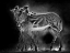 Picture of WILD DANCE