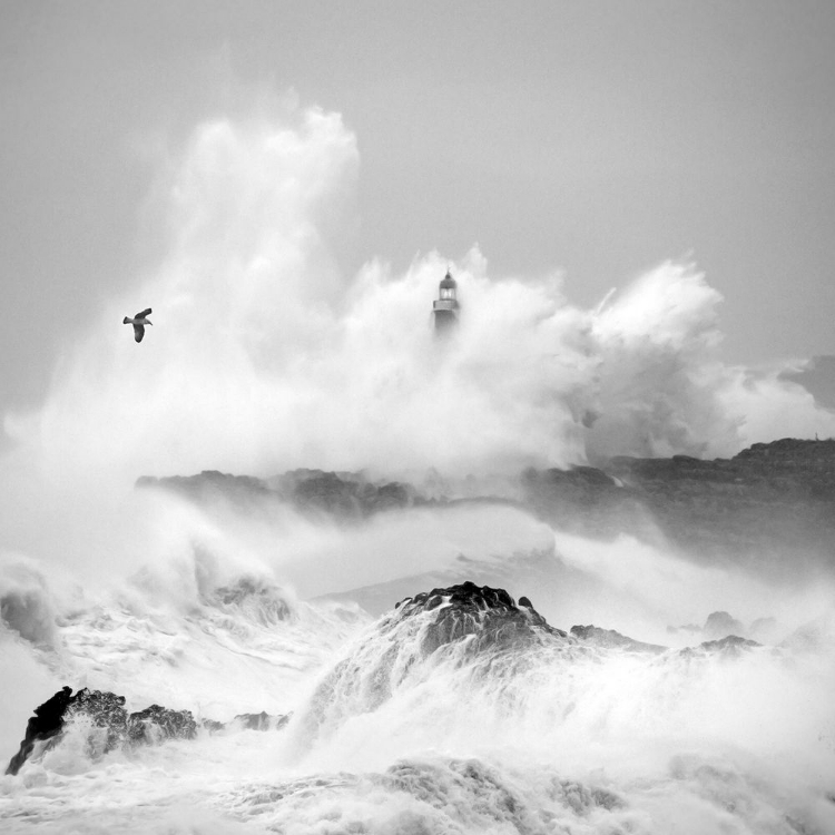 Picture of STORM IN CANTABRIA