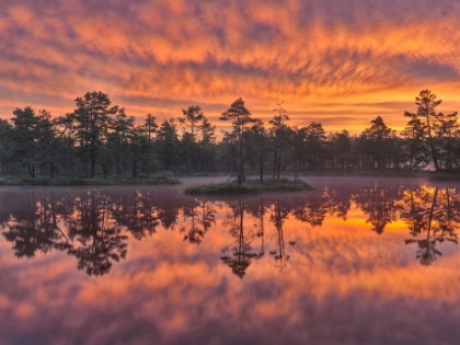 Picture of DAWN
