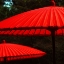 Picture of RED PROTECTION