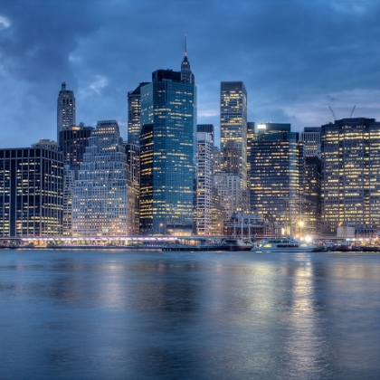 Picture of BROOKLYN BRIDGE PARK