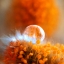 Picture of ETERNAL FLAME