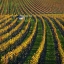 Picture of VEINEYARDS OF HAUTES COTES BURGUNDY