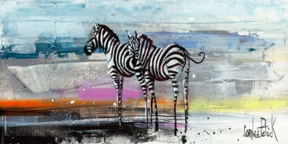 Picture of ZEBRA