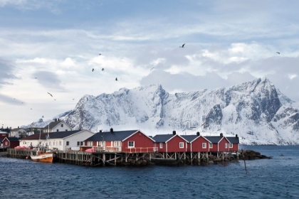 Picture of FISCHERHUTTEN LOFOTEN NAHE REINE