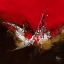 Picture of ENERGIE MUSICALE II