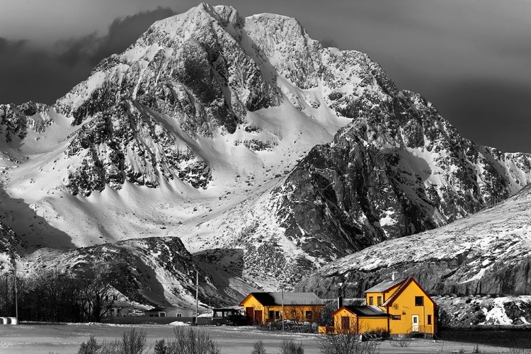 Picture of LOFOTEN GELBEN HAUSER