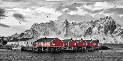 Picture of LOFOTEN NAHE REINE MIT ROTEN HUTTEN