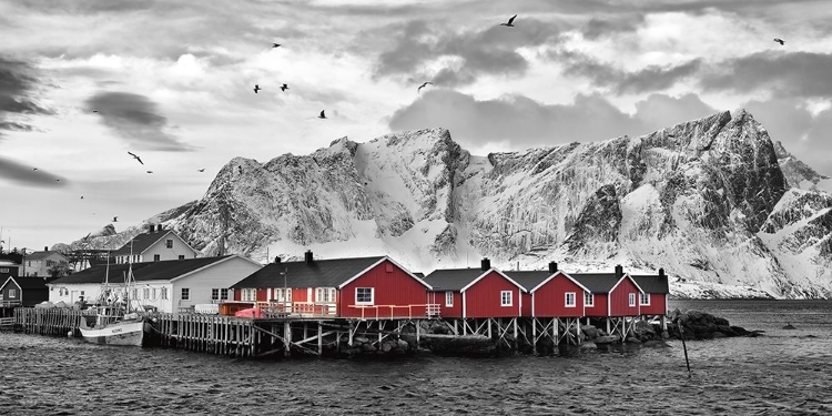 Picture of LOFOTEN NAHE REINE MIT ROTEN HUTTEN