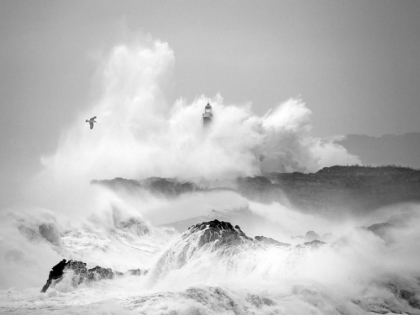 Picture of STORM IN CANTABRIA