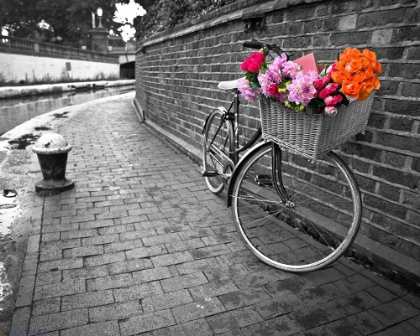 Picture of BICYCLE OF LOVE I