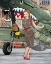 Picture of JESSIE