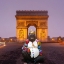 Picture of THE KING OF ARC
