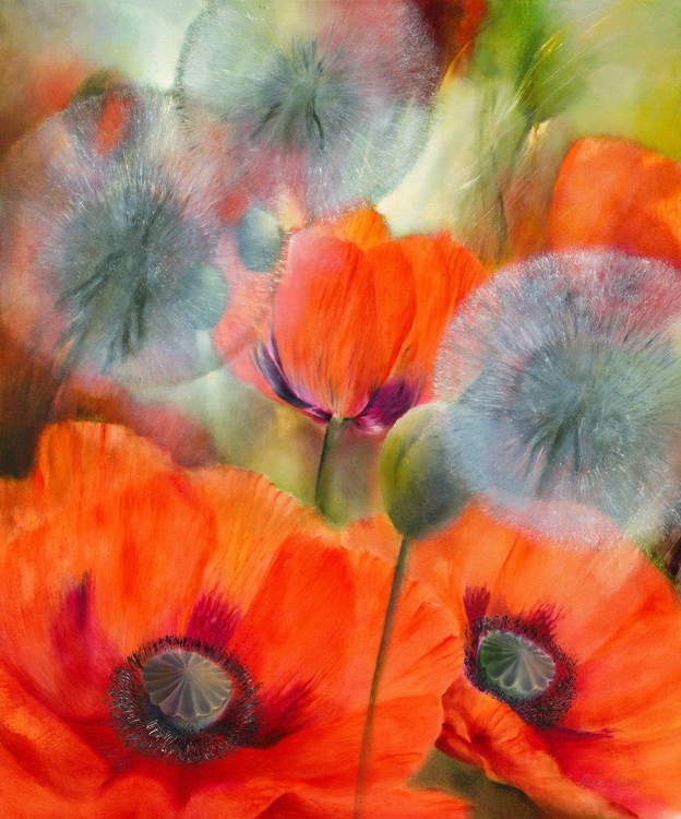 Picture of MOHN UND PUSTELBLUMEN