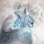 Picture of BRUME D ARGENT I