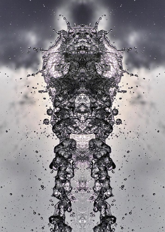 Picture of SPLASHHEAD