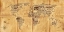 Picture of WORLD OF LIFE-SEACHART
