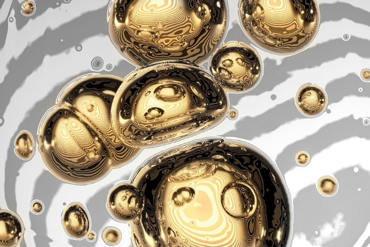 Picture of GOLDEN BUBBLE