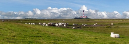 Picture of ST. PETER ORDING