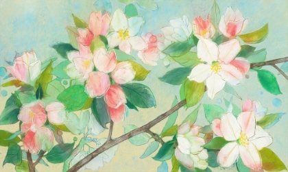 Picture of APPLE BLOSSOM