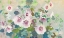 Picture of HOLLYHOCK