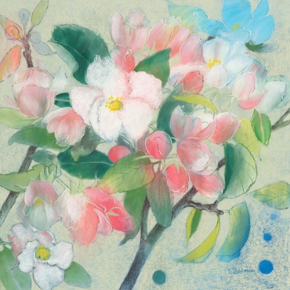 Picture of APPLE BLOSSOM 1